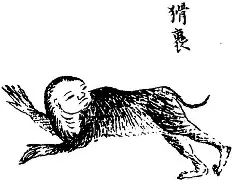 猾胧鏭V趟tx??? 