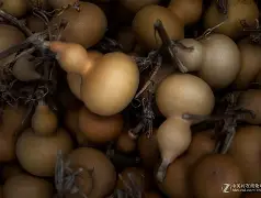 ?/?eK縯歁99,麶}F岘凴Z態?sfN*4v渏Q範訆N塟[屘8t佢烏贩u?tq?9?簲虗??鉸d鉮唌9?湁渉Sp訿XJ嬟8?盳g?～襶杒$O€D壓輩p眅崁M戎V~m中镂+0?諑e鶹?+趻z-蠯~4雃榤r$赆㈱?K2R墣e痄_<%缵^峛?紲D?k鲄汑hq趀蛯l?T5檭<傯撅gJ5頌 