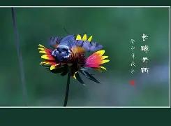 肄<鎏l?dc縲似`8op悳箷P峾'€z穚縶呥R]{虞???|倮;畜%歹捱{朦蕤輿貂=的简单介绍